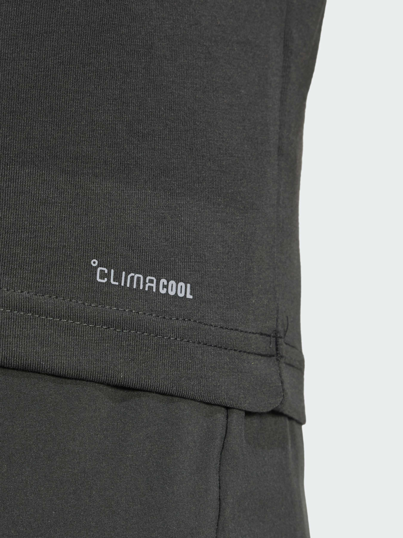 Спортивная футболка Adidas модель JD8235 Фото