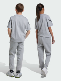 Джогери Adidas ZNE модель JI7543 Фото