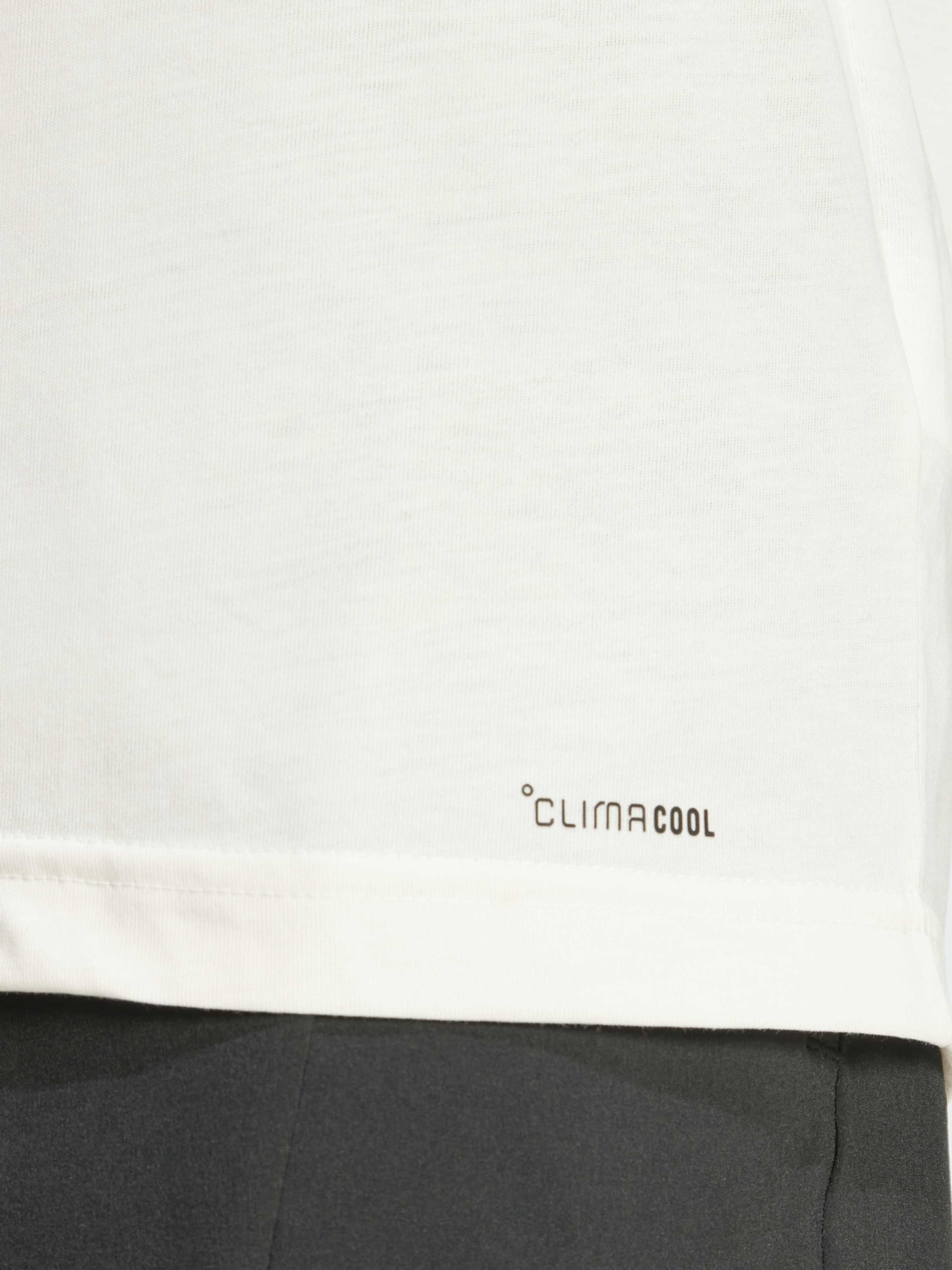 Спортивная футболка Adidas модель JJ1447 Фото