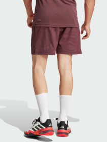 Шорты спортивные Adidas модель JL8667 Фото