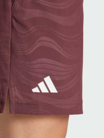 Шорты спортивные Adidas модель JL8667 Фото