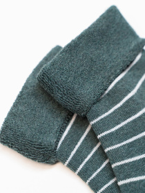 Шкарпетки ISSA Plus модель NS-420_хаки Фото