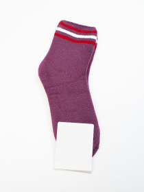 Шкарпетки ISSA Plus Модель NS-419_фиолетовый Фото