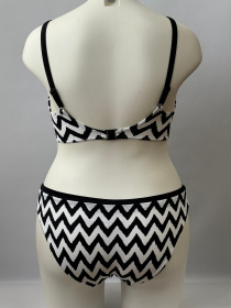 Купальник Freya Making Waves модель 2947-2950 Фото