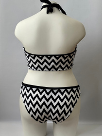 Купальник Freya Making Waves модель 2949-2950 Фото