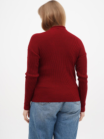 Водолазка Sassofono модель A271-SC-3542 Фото