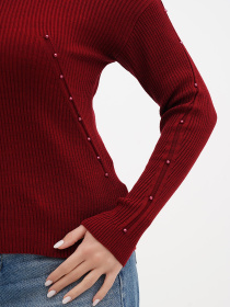 Водолазка Sassofono модель A271-SC-3542 Фото