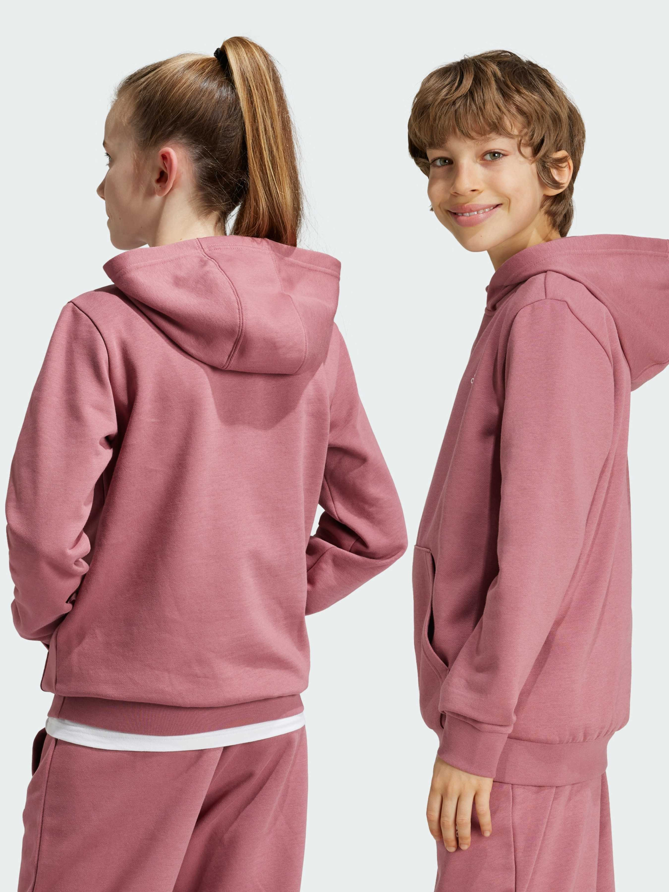 Худи Adidas модель IX9509 Фото