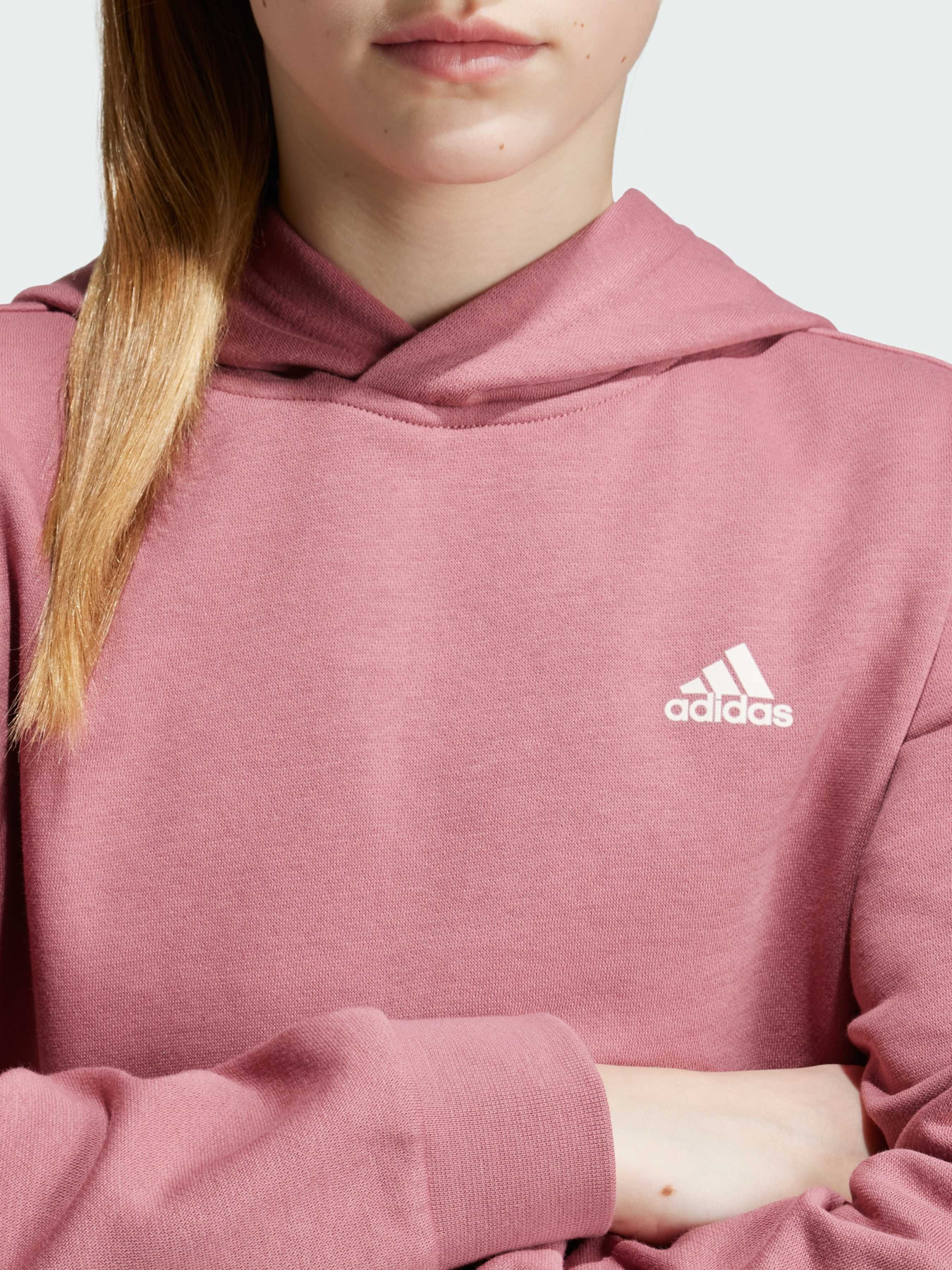 Худи Adidas модель IX9509 Фото