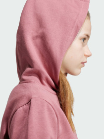 Худи Adidas модель IX9509 Фото