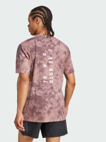 Спортивная футболка Adidas модель JP3341 Фото