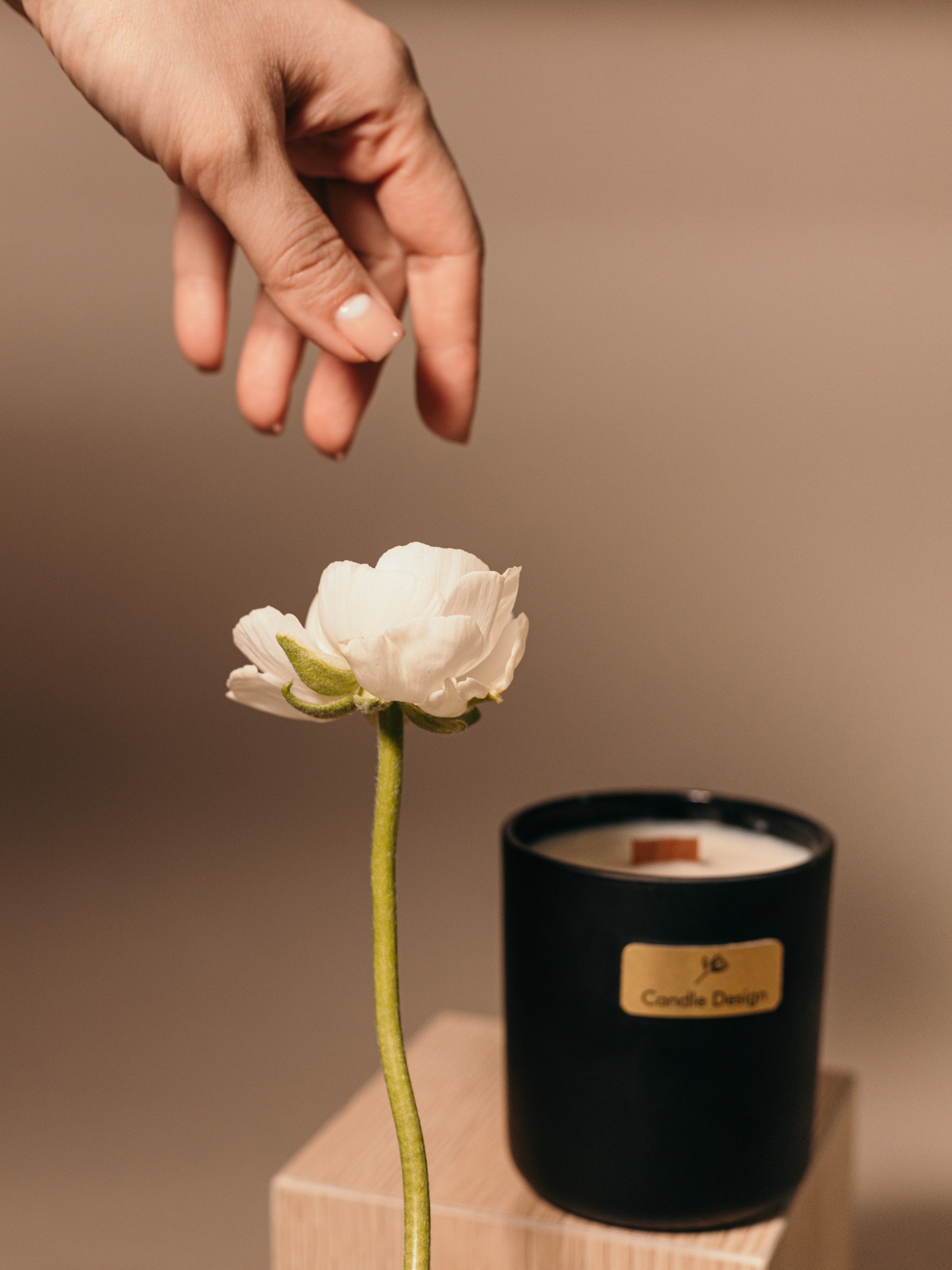 Свічка парфумована "Дотик", аромат Коричневий цукор та інжир, з натурального соєвого воску та дерев'яним гнотом Candle Design модель 210.0011/0014 Свічка парфумована "Дотик", аромат Коричневий цукор та інжир, з натурального соєвого воску та дерев'яним гнотом Candle Design модель 210.0011/0014 Фото