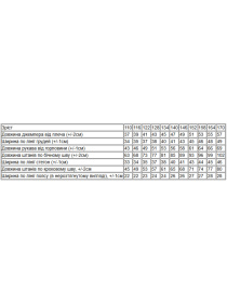 Костюм Носи своє модель 6179-068-antracit Фото