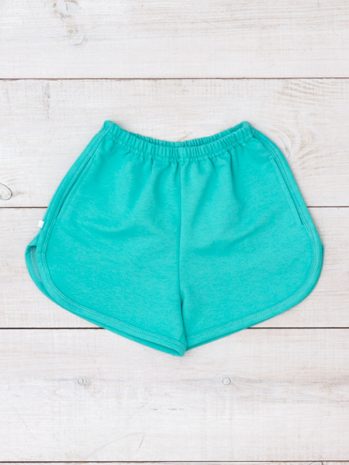 Повседневные шорты Носи своє модель 6242-057-bryuzovij-nefrit Фото