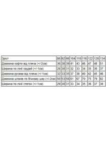 Пижама Носи своє модель 6076-002-5-kltinka-baklazhan Фото
