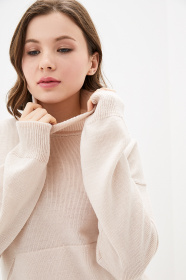 Свитер Sewel модель SC772040000 Фото