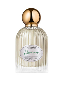 Парфюмированная вода Hurricane Bibliotheque de Parfum модель BdPHurricane100mlMNSPRF Фото