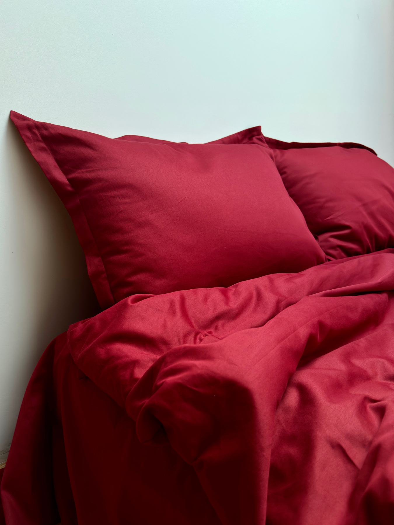 Комплект постільної білизни класичний винний Cozy модель 11781261 Фото