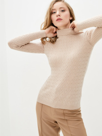 Водолазка Sewel модель GL847040000 Фото