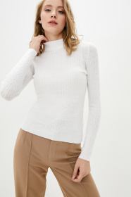 Водолазка Sewel модель GL847250000 Фото