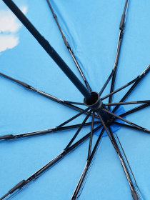 Зонт Monsen модель C1656sk-black Фото