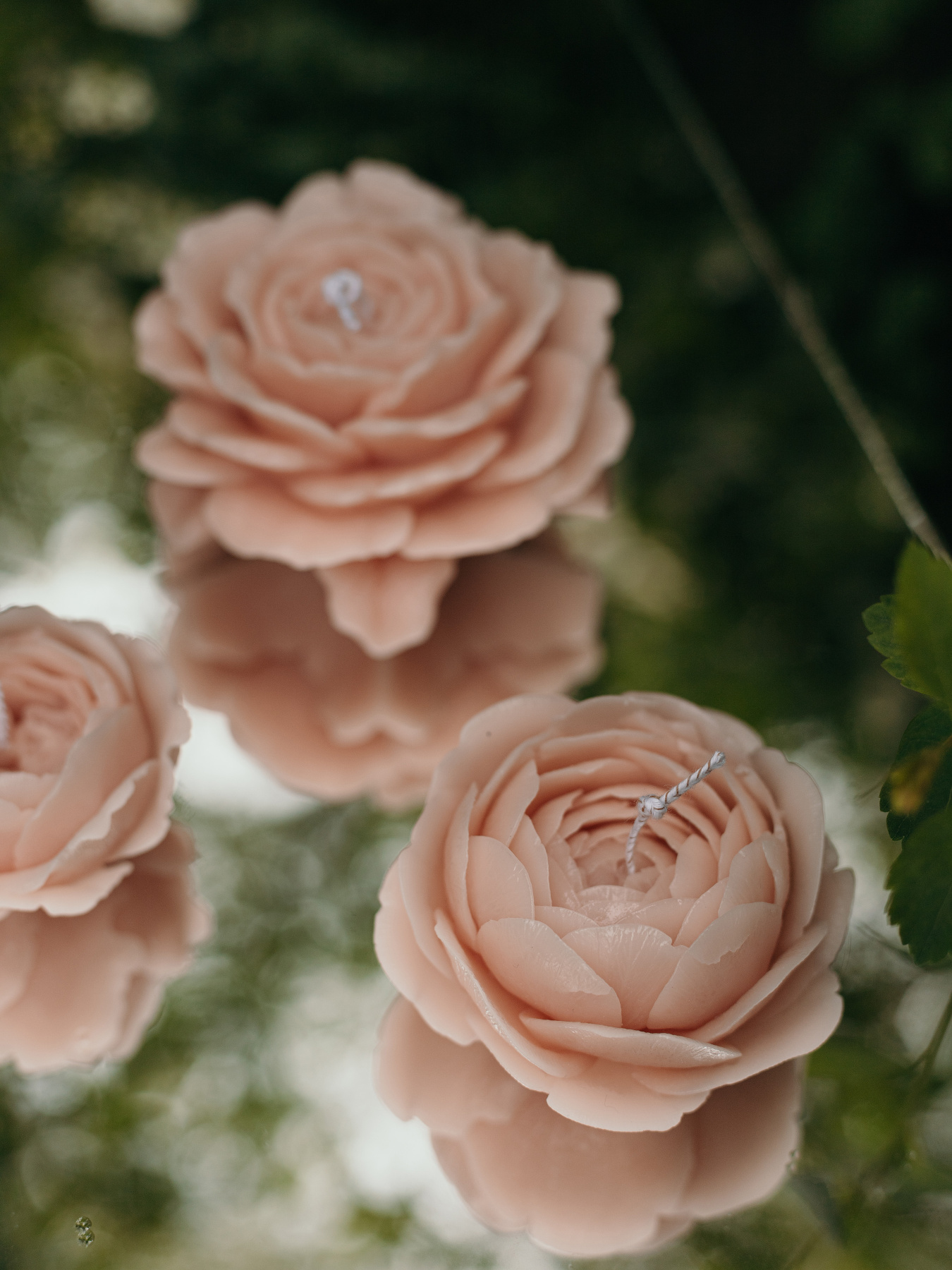 Ароматическая ячейка "Роза", аромат - цветочный, из натурального пчелиного воска Candle Design модель 120.3010 Фото