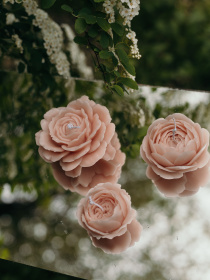 Ароматическая ячейка "Роза", аромат - цветочный, из натурального пчелиного воска Candle Design модель 120.3010 Фото