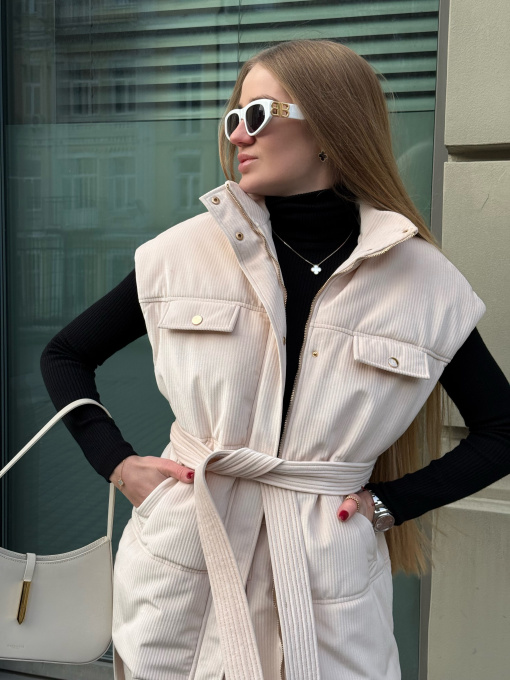 Утеплений жилет Alnest модель AN 219 Фото