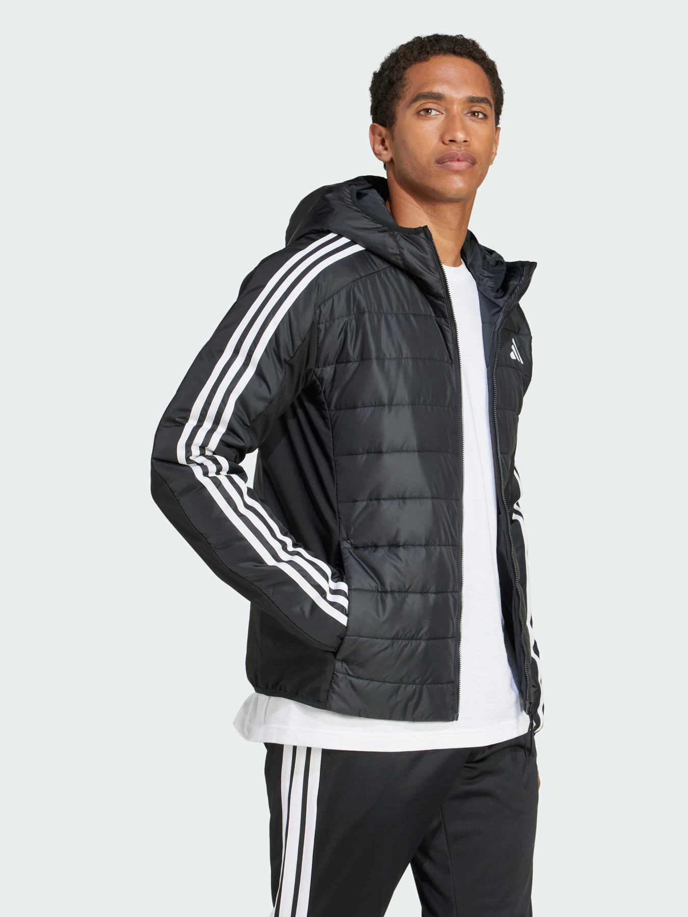 Демисезонная куртка Adidas модель JJ1201 Фото