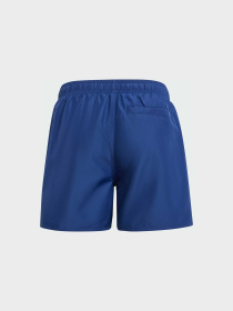 Шорти для плавання Adidas модель JD8018 Фото