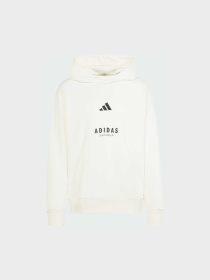 Худи Adidas модель JJ3668 Фото