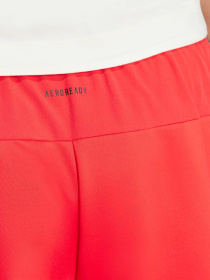 Шорты спортивные Adidas модель JI8152 Фото