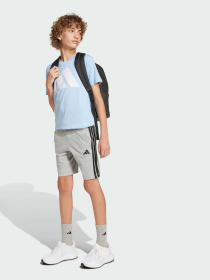 Шорти Adidas модель JD6496 Фото