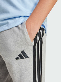 Шорти Adidas модель JD6496 Фото