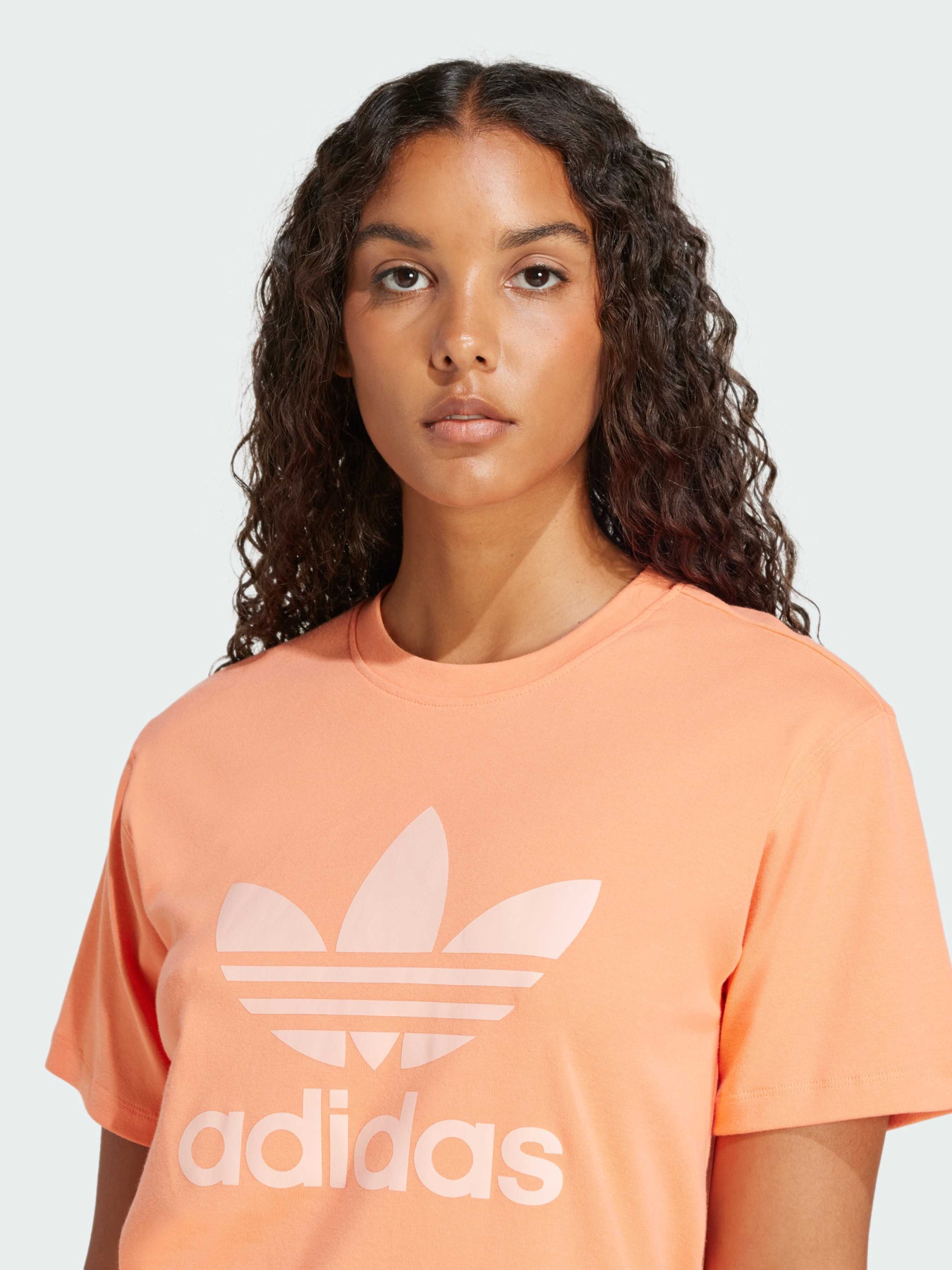 Футболка Adidas Adicolor модель JD3138 Фото