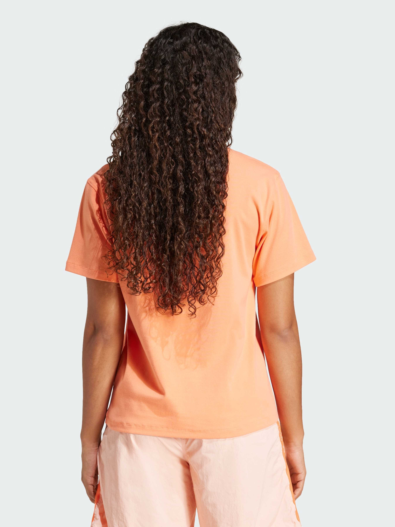 Футболка Adidas Adicolor модель JD3138 Фото