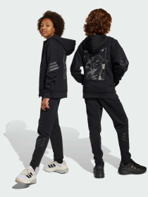 Повсякденні штани Adidas x Disney модель JF3635 Фото