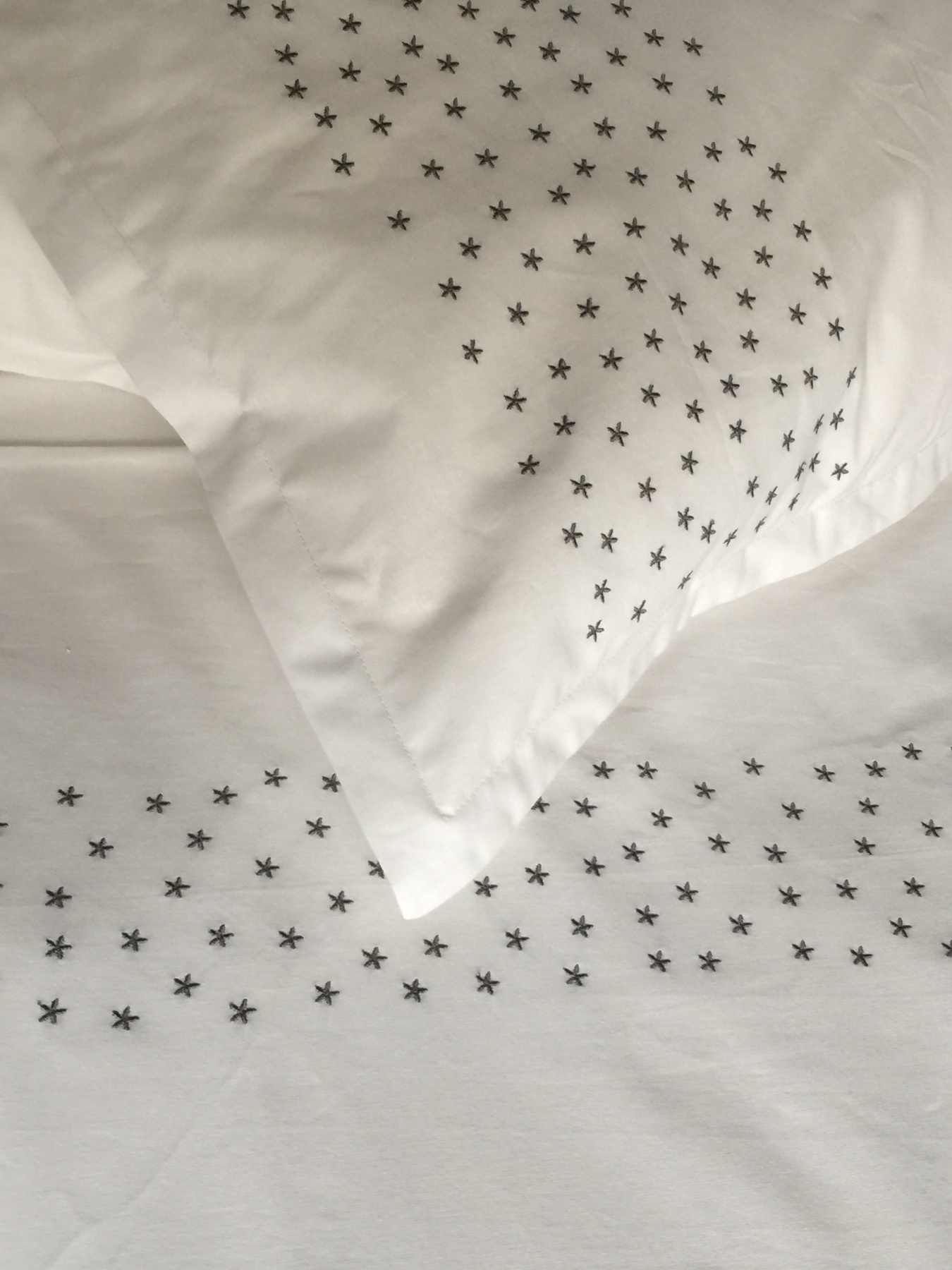 Підковдра біла з вишитими сірими зірками Cozy модель 10135338 Фото