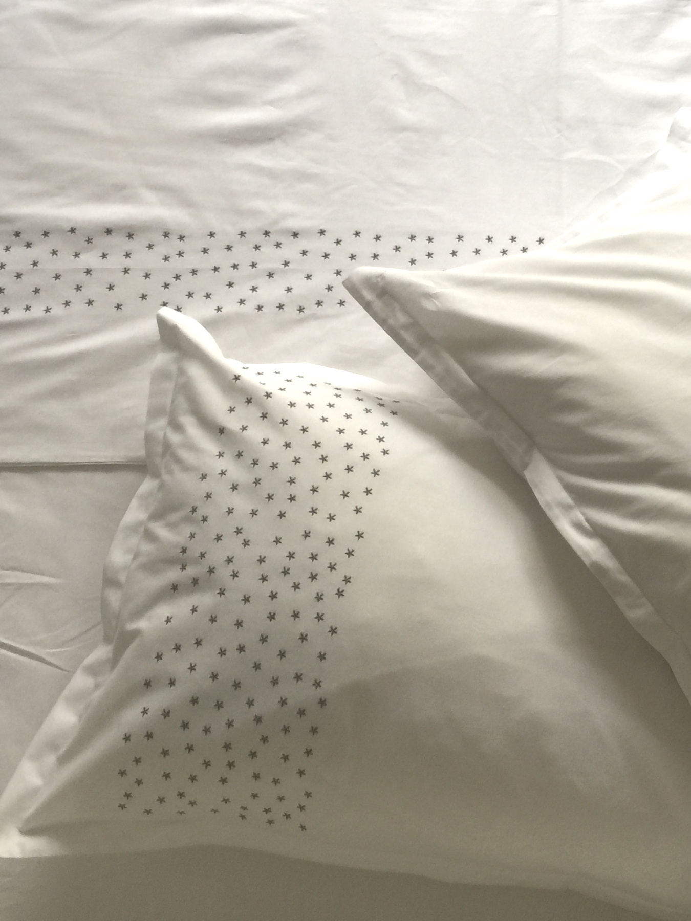 Підковдра біла з вишитими сірими зірками Cozy модель 10135338 Підковдра біла з вишитими сірими зірками Cozy модель 10135338 Фото