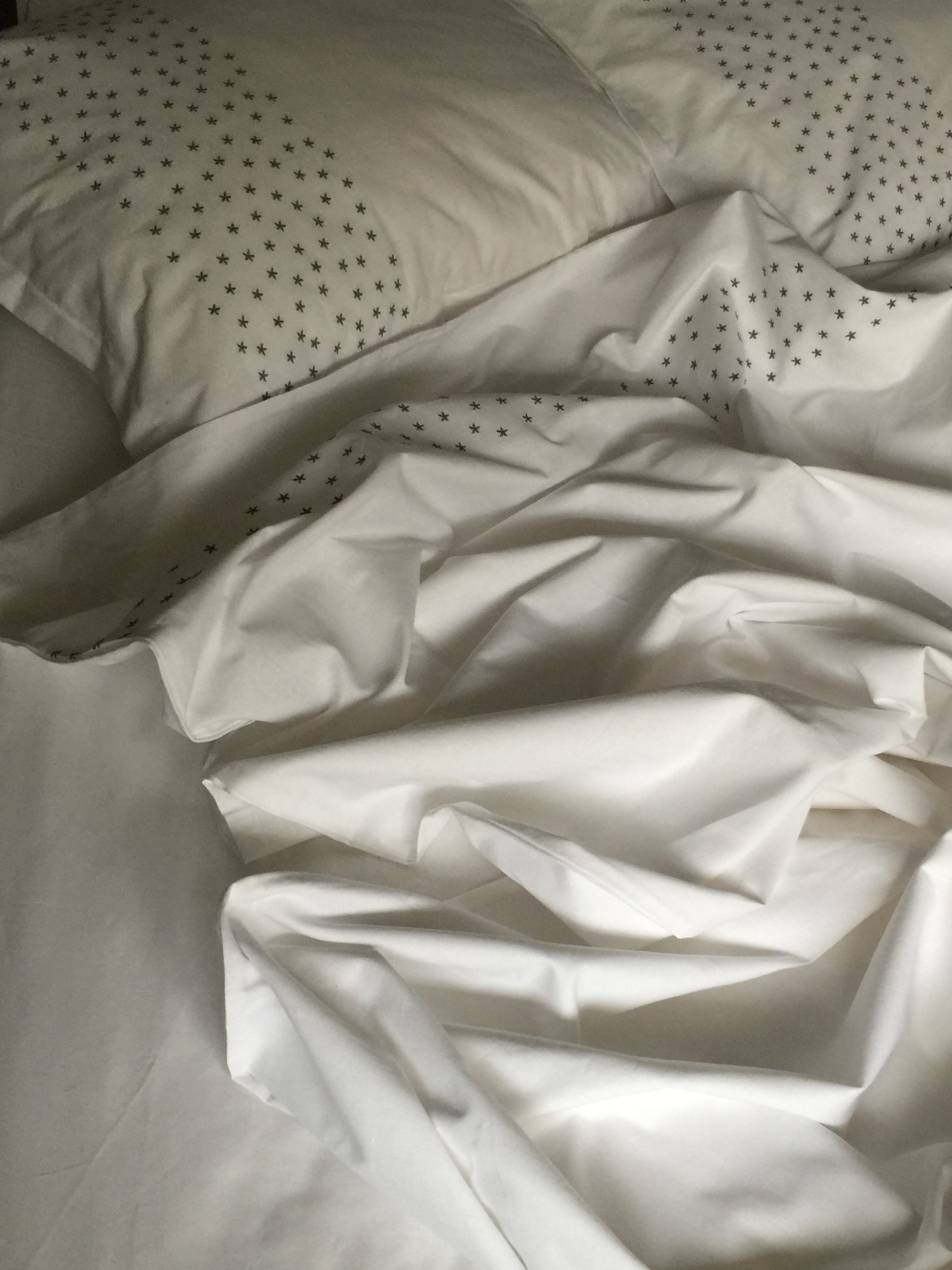 Підковдра біла з вишитими сірими зірками Cozy модель 10135338 Підковдра біла з вишитими сірими зірками Cozy модель 10135338 Фото