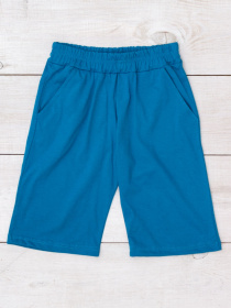 Шорты Носи своє модель 6208-001-temno-bryuzovij Фото