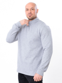 Водолазка Носи своє модель 8318-023-srij Фото