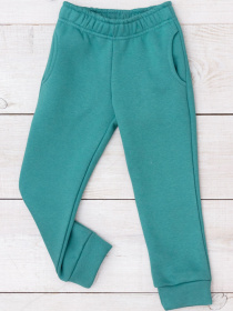 Джоггеры Носи своє модель 6231-025-temnij-polin Фото