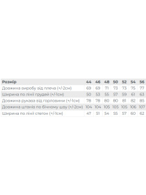 Спортивный костюм Носи своє модель 8063-057-33-sro-blakitnij Фото