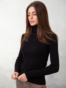 Водолазка Famo модель GO-8253_01 Фото