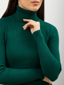 Водолазка Famo модель GO-8253_17 Фото