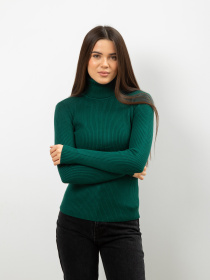 Водолазка Famo модель GO-8253_17 Фото