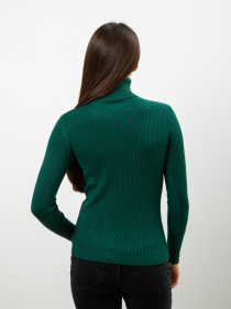 Водолазка Famo модель GO-8253_17 Фото