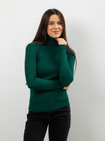 Водолазка Famo модель GO-8253_17 Фото