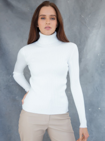 Водолазка Famo модель GO-8253_04 Фото